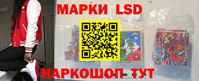 прущие грибы Гатчина
