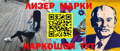 прущие грибы Гатчина
