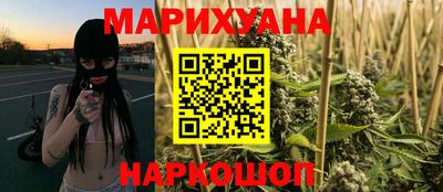 прущие грибы Гатчина