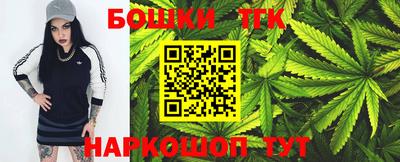 прущие грибы Гатчина