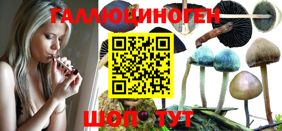 Псилоцибиновые грибы Magic Shrooms Кирово-Чепецк